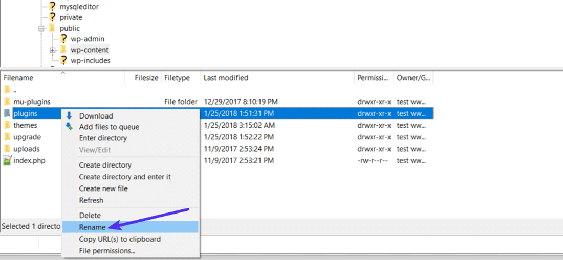 https://sive.host/titfombe/repository/Kinsta-Plugins-Rename-via-SFTP-Method.png